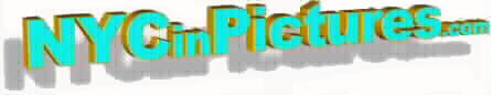 piclogo2.jpg