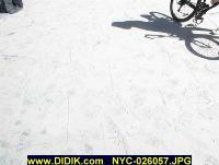 thm_NYC-026057.jpg