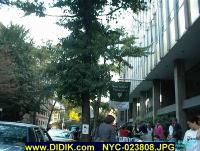 thm_NYC-023808.jpg