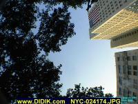 thm_NYC-024174.jpg