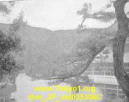 thm_JP_old035306C.jpg