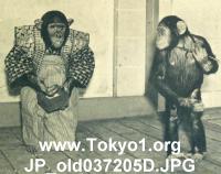 JP_old037205D.JPG