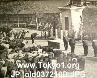 JP_old037210D.JPG