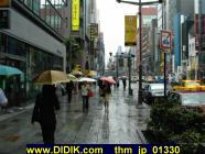 thm_jp_01330.jpg
