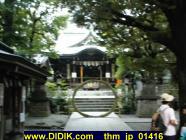 thm_jp_01416.jpg