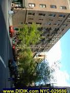 NYC-029586.jpg