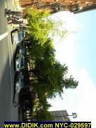NYC-029597.jpg