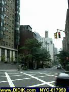 thm_NYC-017959.jpg