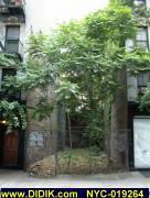 thm_NYC-019264.jpg