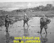 thm_jp_old036564.jpg