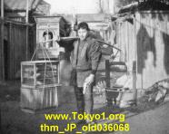 thm_JP_old036068.jpg