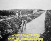 thm_jp_old036222.jpg