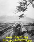 thm_jp_old036253.jpg