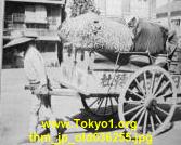thm_jp_old036255.jpg