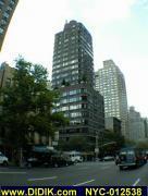 thm_NYC-012538.jpg