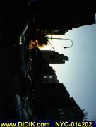 thm_NYC-014202.jpg