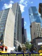 NYC-029950.jpg