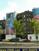 thm_NYC-022476.jpg