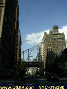 thm_NYC-016390.jpg